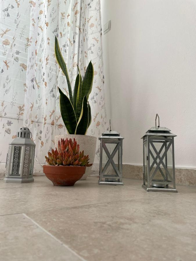 Apartmani Maris II Palit Dış mekan fotoğraf
